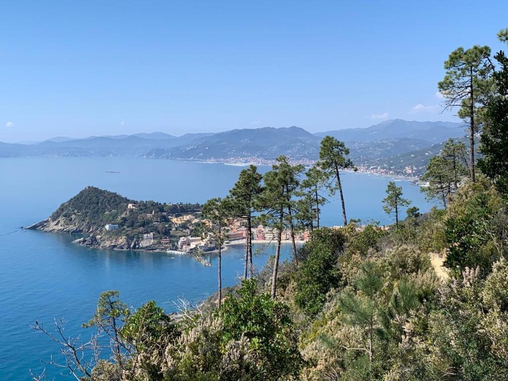 La Pergola Dei Paggi Villa Sestri Levante Exteriör bild