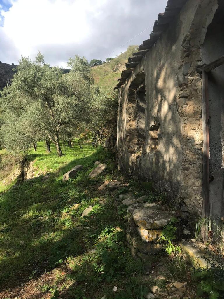 La Pergola Dei Paggi Villa Sestri Levante Exteriör bild